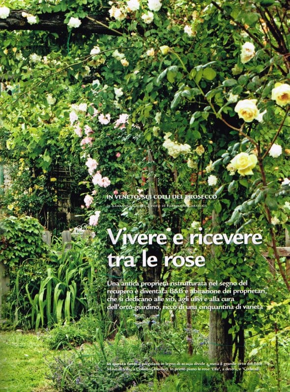 Articolo Gardenia