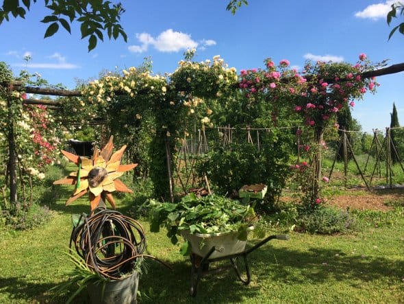 Orto 4 - Vegetable garden