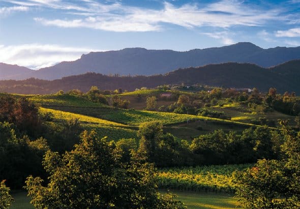 prosecco mostra fotografica